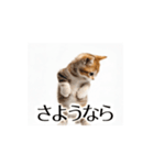 とにかく動く猫【日常/あいさつ】（個別スタンプ：24）