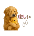 ゴールデンレトリバー大切な人へのスタンプ（個別スタンプ：25）