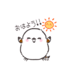 キュートなシマエナガちゃんスタンプ（個別スタンプ：1）