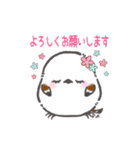 キュートなシマエナガちゃんスタンプ（個別スタンプ：24）