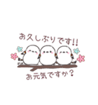 キュートなシマエナガちゃんスタンプ（個別スタンプ：37）