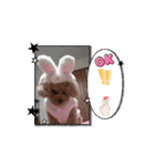 動く❤クレオ君とマリーちゃん（個別スタンプ：3）
