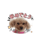 動く❤クレオ君とマリーちゃん（個別スタンプ：5）
