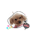 動く❤クレオ君とマリーちゃん（個別スタンプ：11）