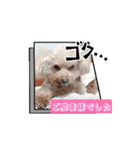 動く❤クレオ君とマリーちゃん（個別スタンプ：13）