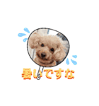 動く❤クレオ君とマリーちゃん（個別スタンプ：15）