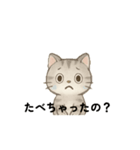 はらぺこな猫たち（個別スタンプ：6）