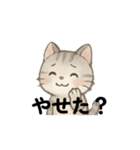 はらぺこな猫たち（個別スタンプ：7）