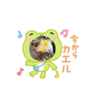 鷹の華蓮（個別スタンプ：5）