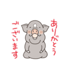 ミニブタ風太郎サンの動くスタンプ（個別スタンプ：1）