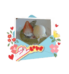 ♡♡HELLO♡♡（個別スタンプ：8）