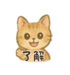 白猫、茶猫、縞猫（個別スタンプ：3）