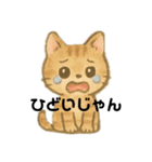 白猫、茶猫、縞猫（個別スタンプ：6）