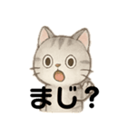 白猫、茶猫、縞猫（個別スタンプ：8）