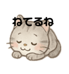 白猫、茶猫、縞猫（個別スタンプ：11）