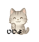 白猫、茶猫、縞猫（個別スタンプ：12）