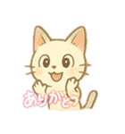 白猫、茶猫、縞猫（個別スタンプ：16）