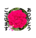 花の写真のラインスタンプ3（個別スタンプ：9）