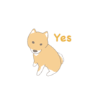 そうそこに柴犬が（個別スタンプ：1）