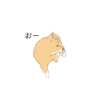 そうそこに柴犬が（個別スタンプ：3）
