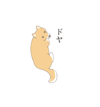 そうそこに柴犬が（個別スタンプ：7）