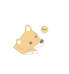 そうそこに柴犬が（個別スタンプ：10）
