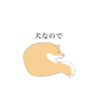 そうそこに柴犬が（個別スタンプ：13）