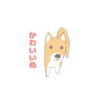 そうそこに柴犬が（個別スタンプ：14）
