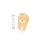 そうそこに柴犬が（個別スタンプ：16）