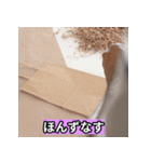 津軽弁だべな（個別スタンプ：27）