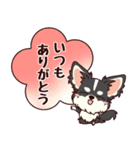 いやしの日常 ロングコートチワワ編（個別スタンプ：14）