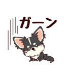 いやしの日常 ロングコートチワワ編（個別スタンプ：16）