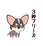 いやしの日常 ロングコートチワワ編（個別スタンプ：35）
