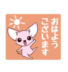 いやしの日常 チワワ (ピンク)（個別スタンプ：1）