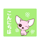 いやしの日常 チワワ (ピンク)（個別スタンプ：2）