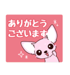 いやしの日常 チワワ (ピンク)（個別スタンプ：4）