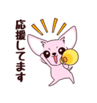 いやしの日常 チワワ (ピンク)（個別スタンプ：20）