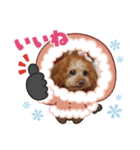 kiran②（個別スタンプ：2）