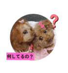 kiran②（個別スタンプ：7）