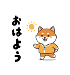 柴犬コーギーちゃん 家族で使えるスタンプ（個別スタンプ：1）