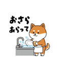 柴犬コーギーちゃん 家族で使えるスタンプ（個別スタンプ：8）