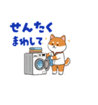 柴犬コーギーちゃん 家族で使えるスタンプ（個別スタンプ：9）