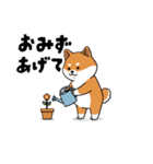 柴犬コーギーちゃん 家族で使えるスタンプ（個別スタンプ：10）