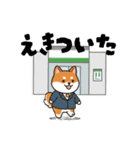 柴犬コーギーちゃん 家族で使えるスタンプ（個別スタンプ：20）