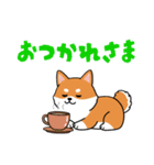 柴犬コーギーちゃん 家族で使えるスタンプ（個別スタンプ：23）