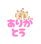 シャム猫mimi♪デカ文字スタンプ（個別スタンプ：2）