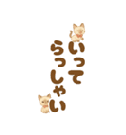 シャム猫mimi♪デカ文字スタンプ（個別スタンプ：4）