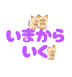 シャム猫mimi♪デカ文字スタンプ（個別スタンプ：12）