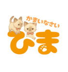 シャム猫mimi♪デカ文字スタンプ（個別スタンプ：13）