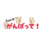 シャム猫mimi♪デカ文字スタンプ（個別スタンプ：15）